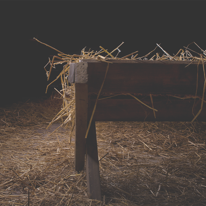 Seeking Him - Horn of Salvation