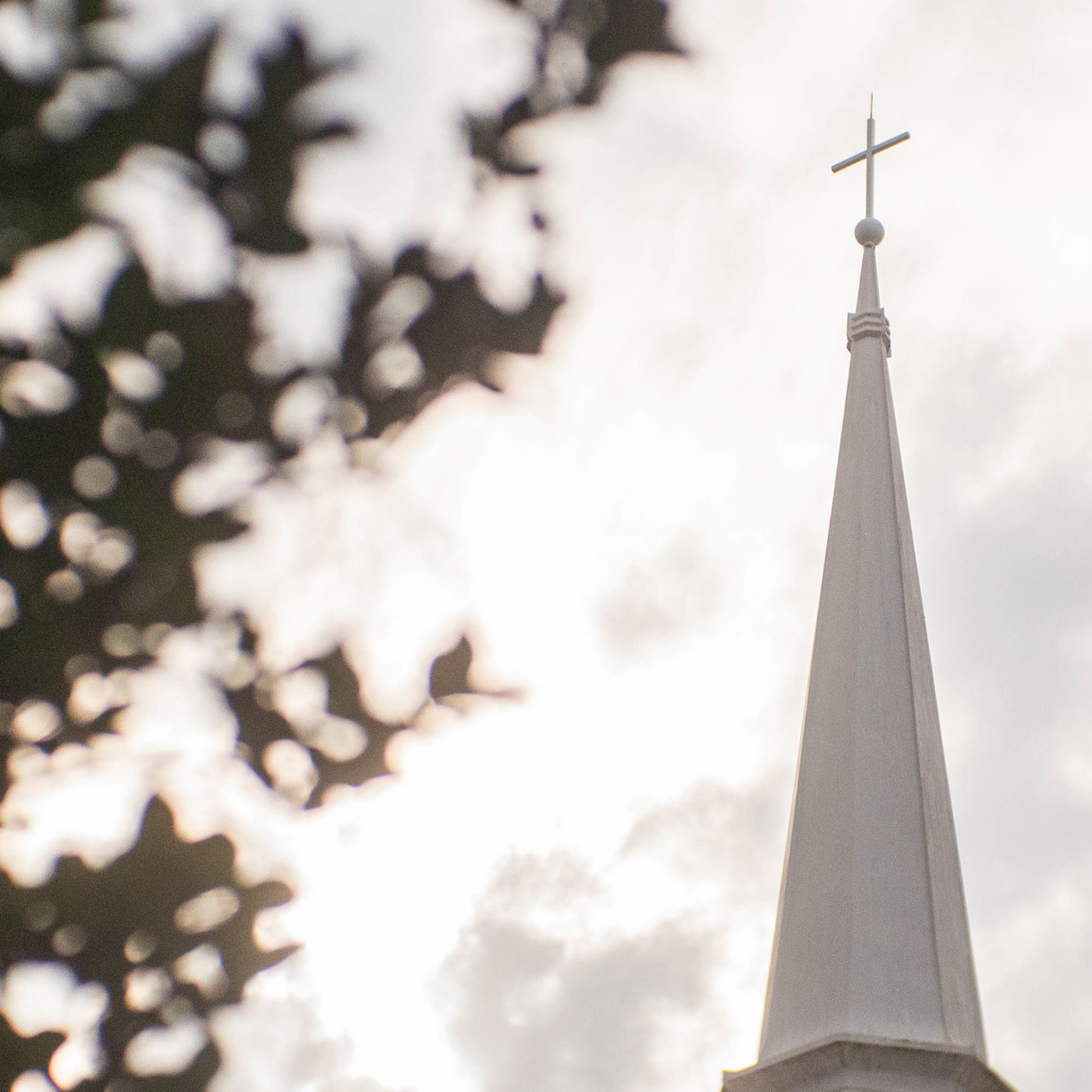 Revive Our Hearts Weekend - Widespread Revival