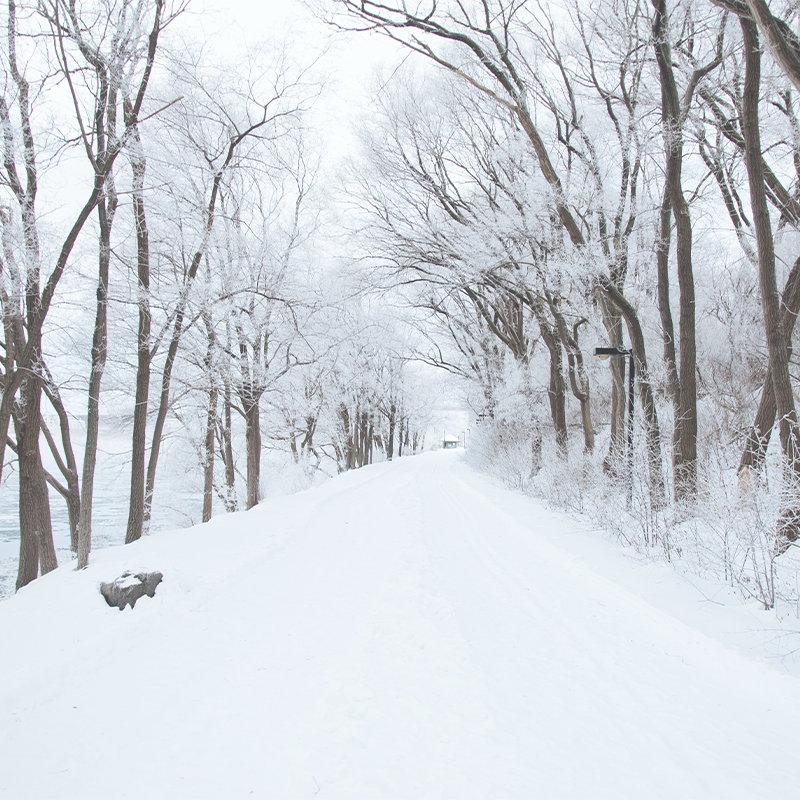 White as Snow