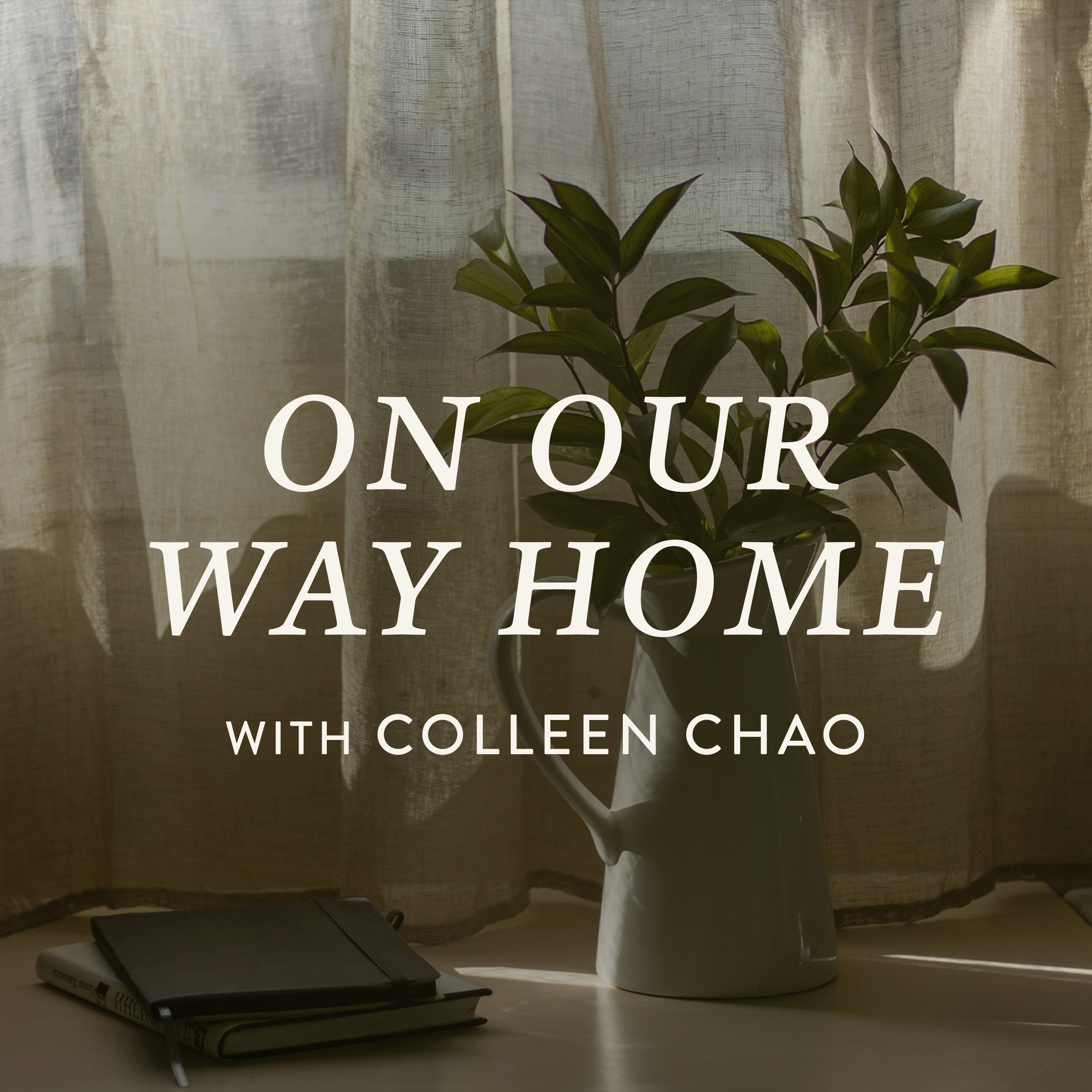 On Our Way Home, Ep. 2
