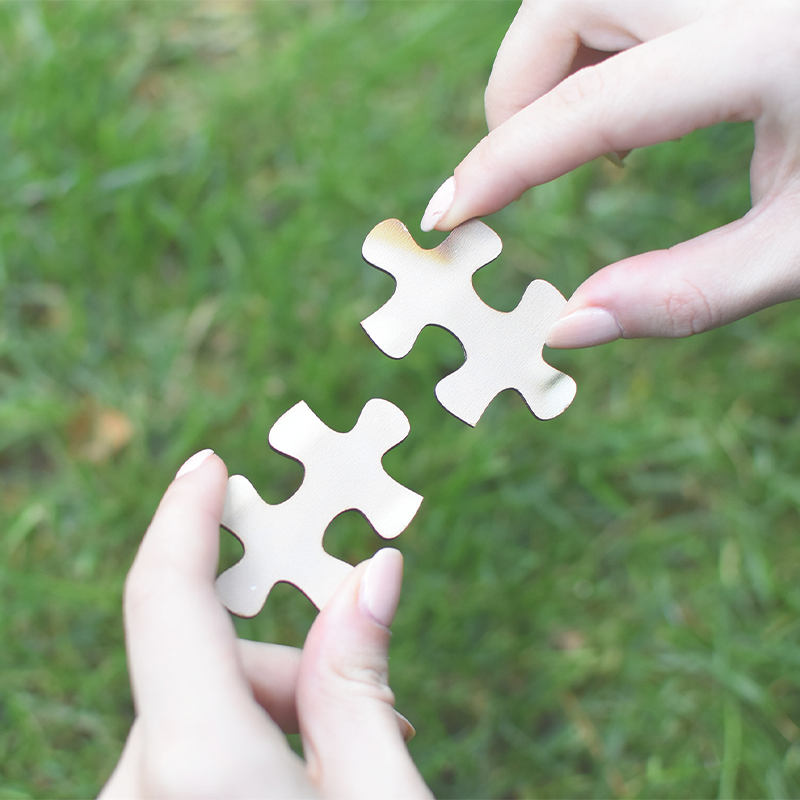 Puzzle Pieces