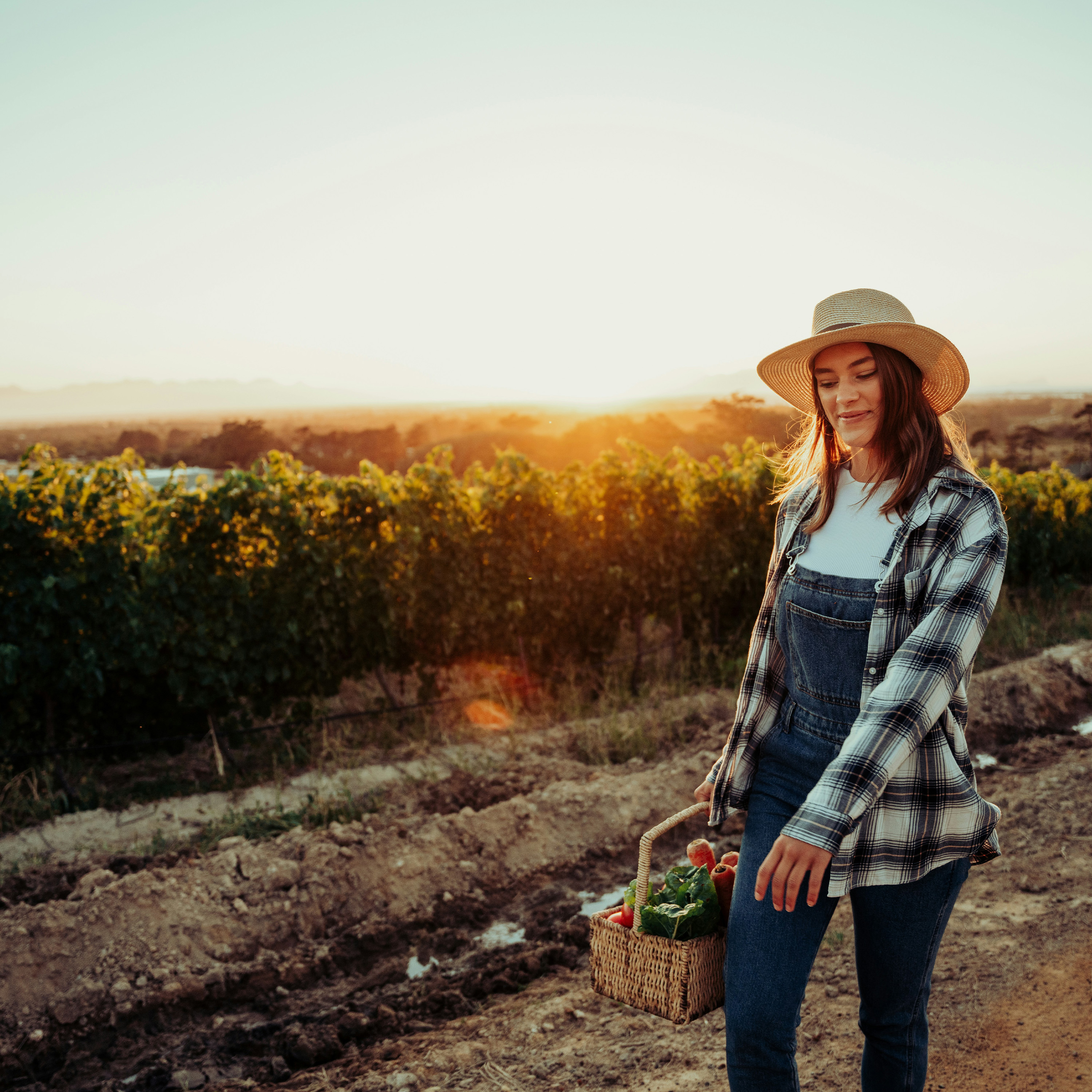 Revive Our Hearts Weekend - A Harvest of Joy