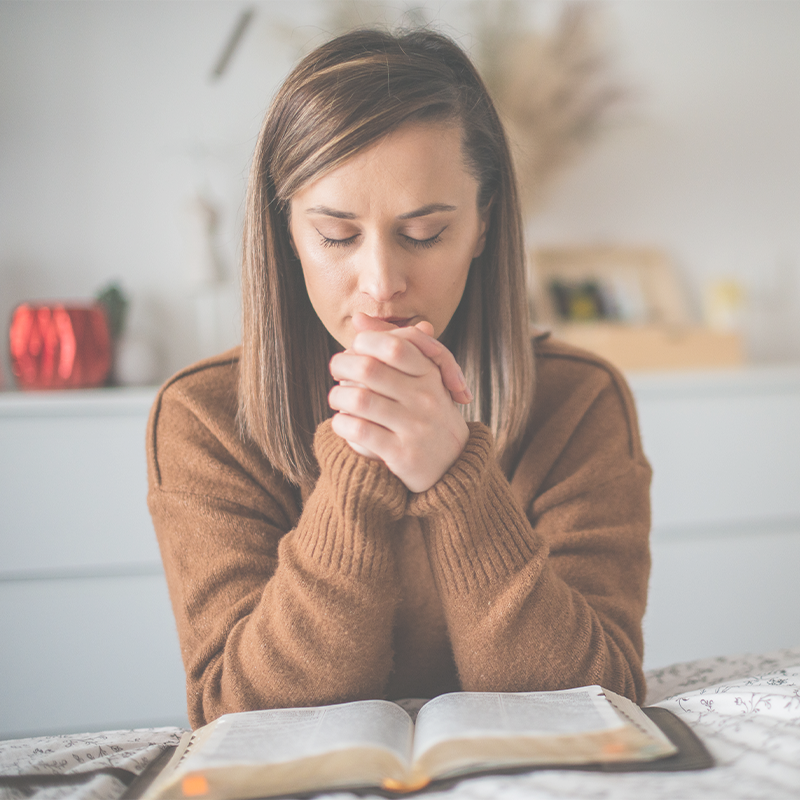 Pride and Contention