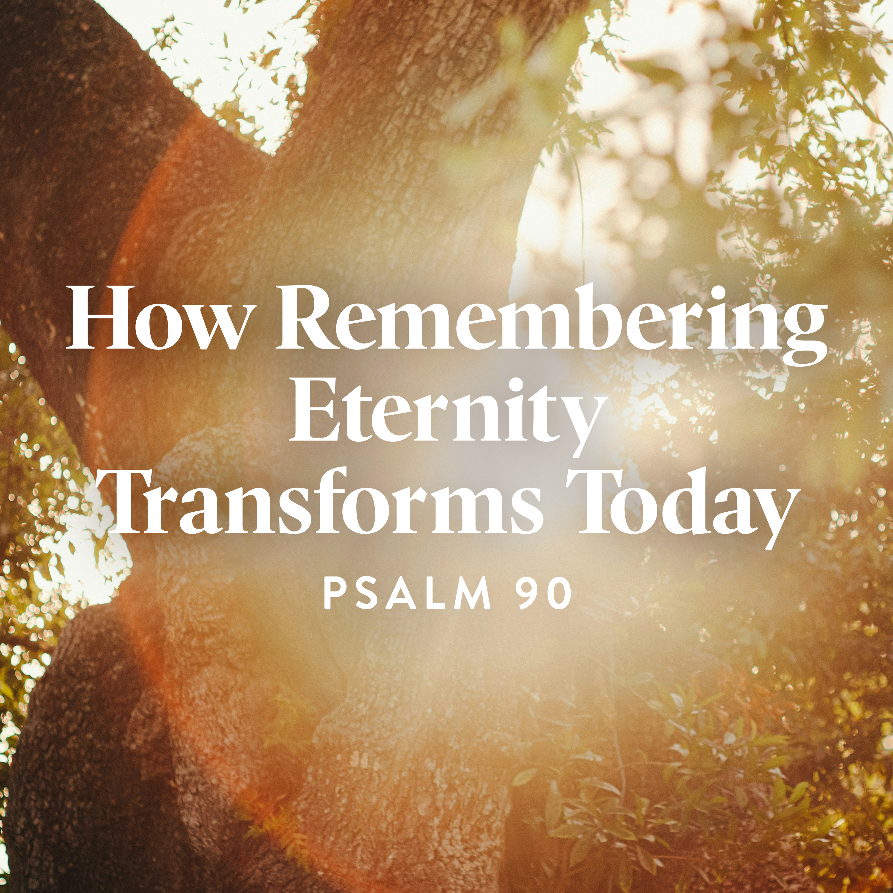 Revive Our Hearts - How Remembering Eternity Transforms Today (Psalm 90)