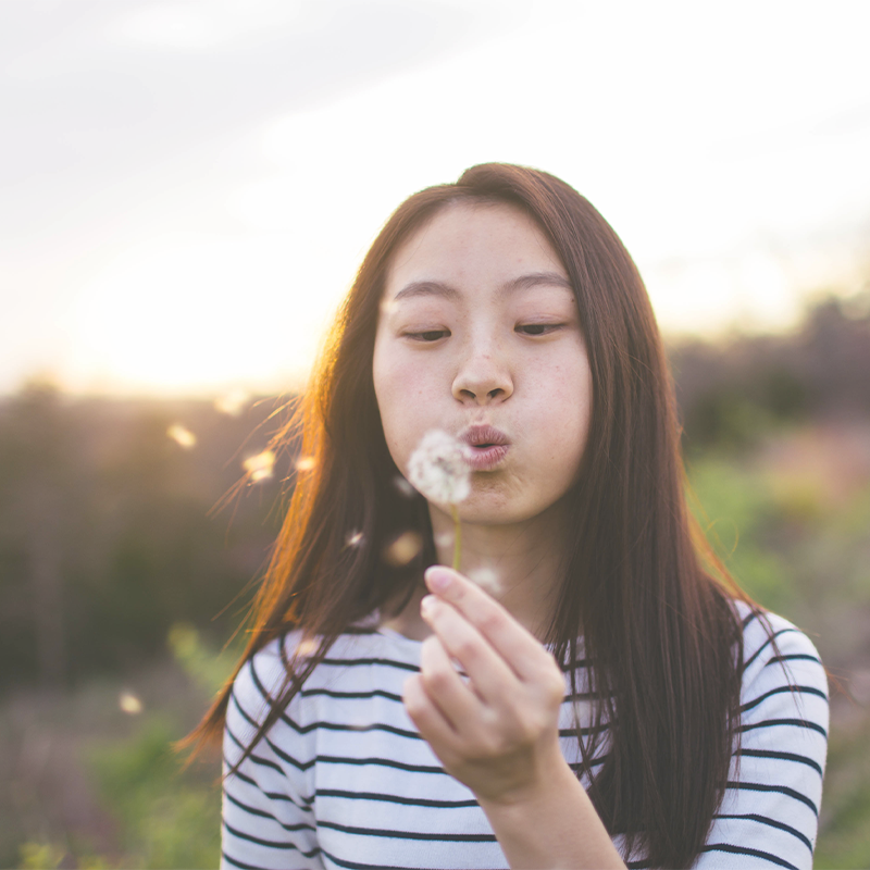 Picking Dandelions