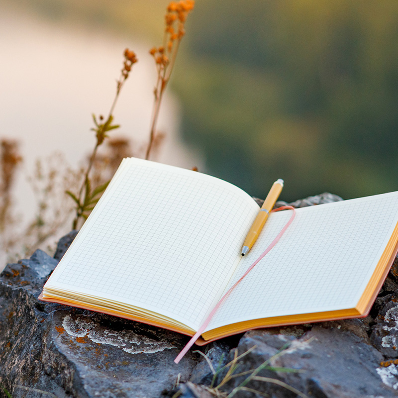 Trusting the Great Story Writer