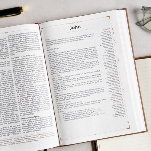 CSB Men's Daily Bible (Brown Cloth-Over Board)