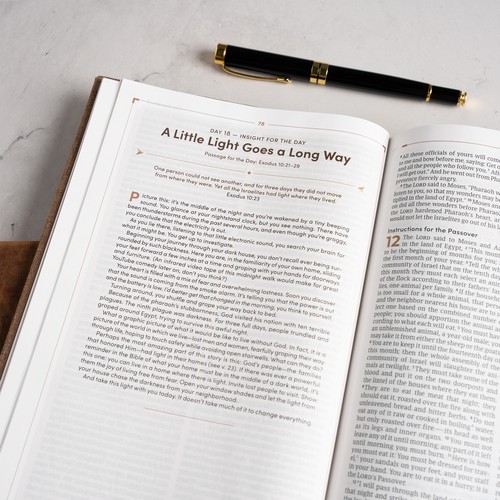 CSB Men's Daily Bible (Brown Cloth-Over Board)