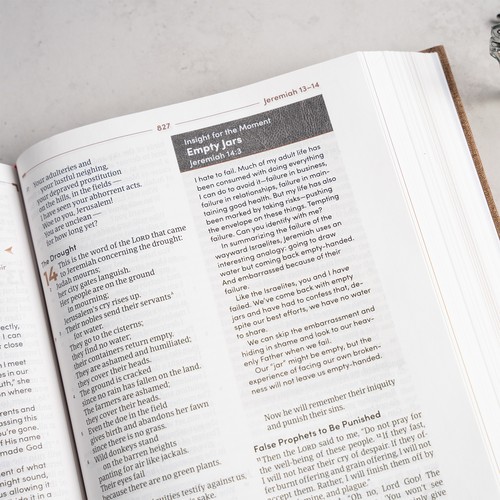 CSB Men's Daily Bible (Brown Cloth-Over Board)