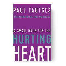 A Small Book for the Hurting Heart