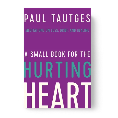 A Small Book for the Hurting Heart