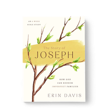 The Story of Joseph
