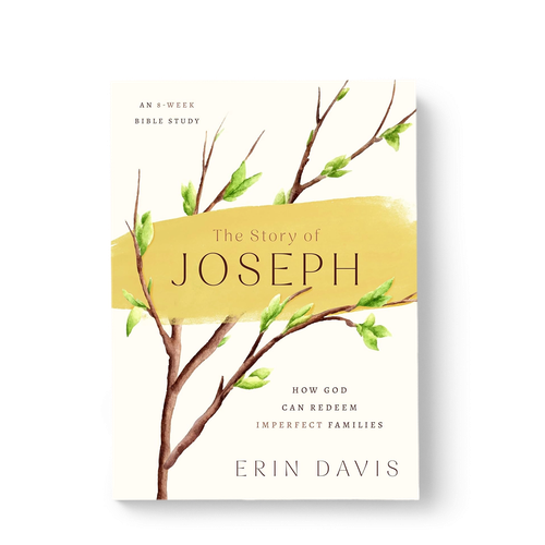 The Story of Joseph