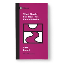 What Should I Do Now That I'm a Christian?