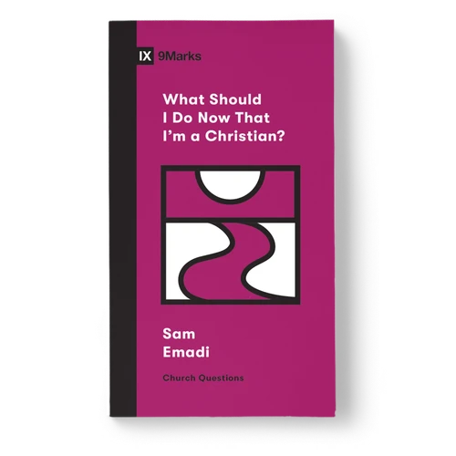 What Should I Do Now That I'm a Christian?