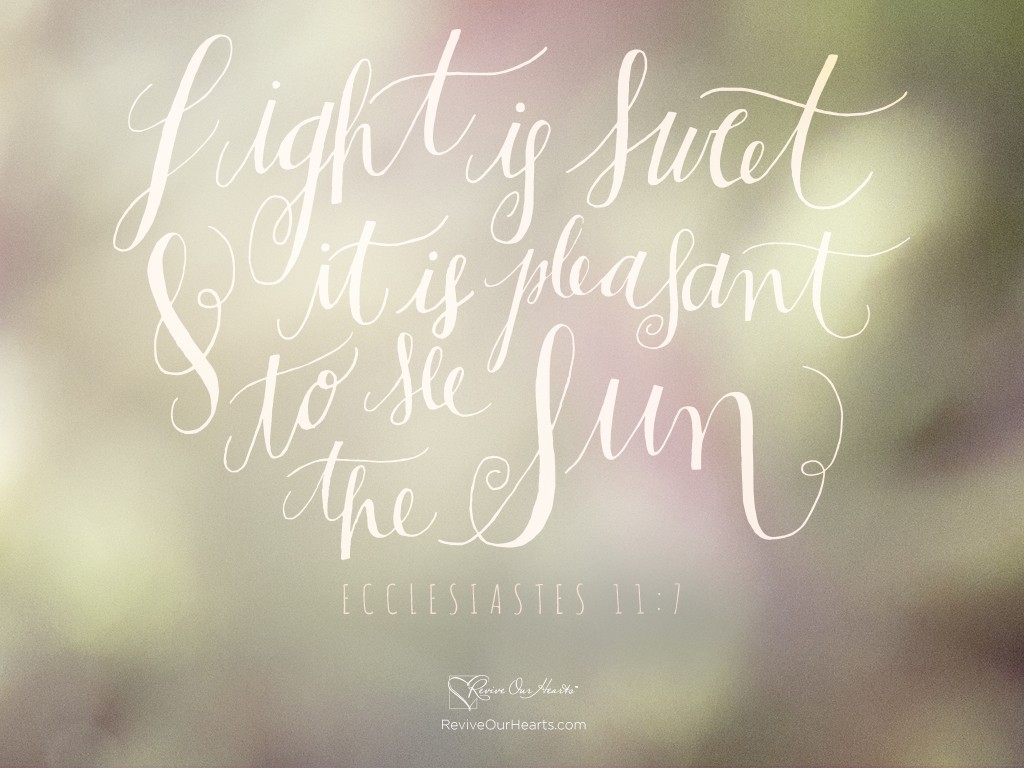 Light Is Sweet desktop wallpaper