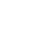 Tree Illustration