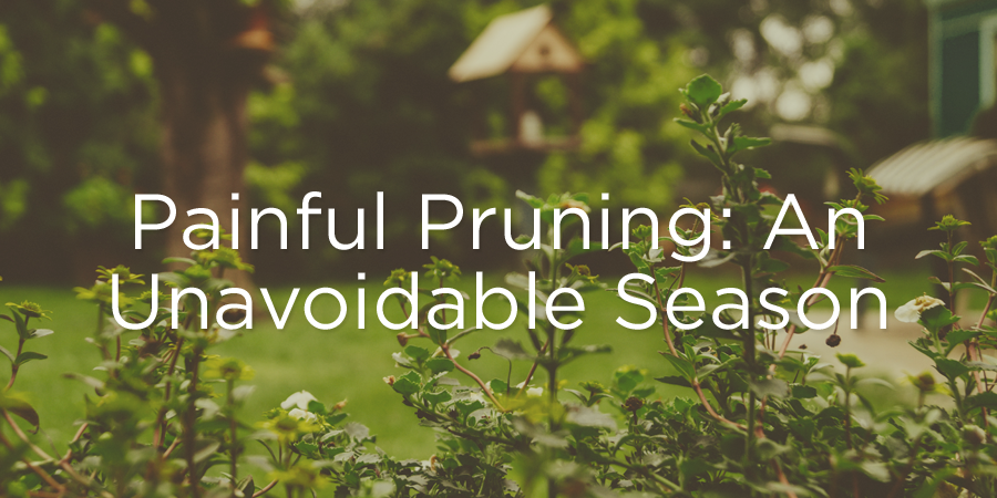 painful-pruning-an-unavoidable-season-true-woman-blog-revive-our