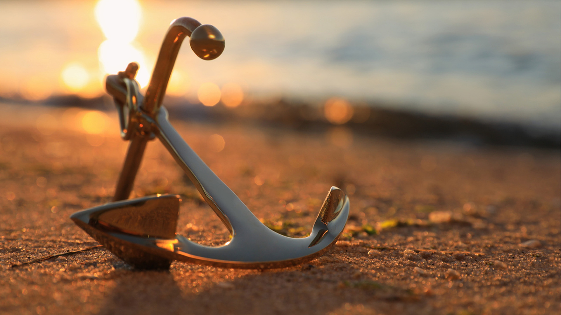 Anchored | Revive Our Hearts Weekend Episode | Revive Our Hearts, image size:1920x1080