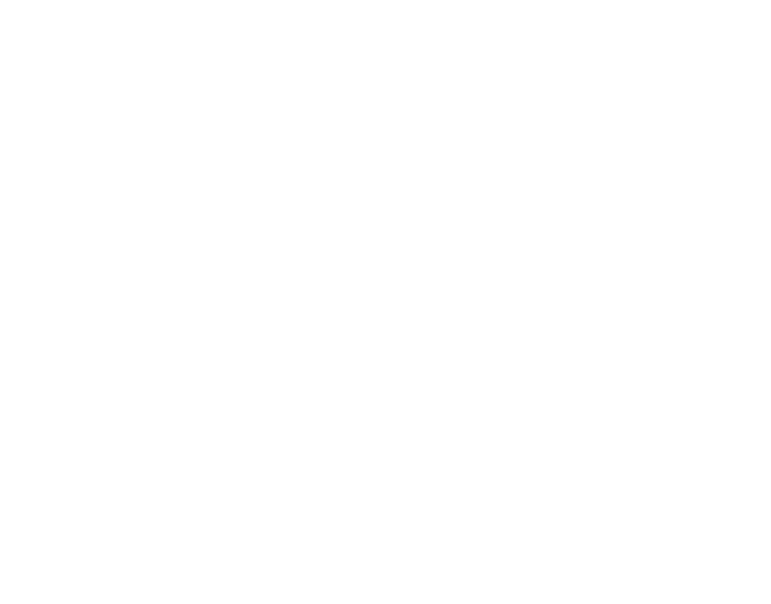 Mentor Me: Mobilizing a New Generation of Mentors: A Training Event