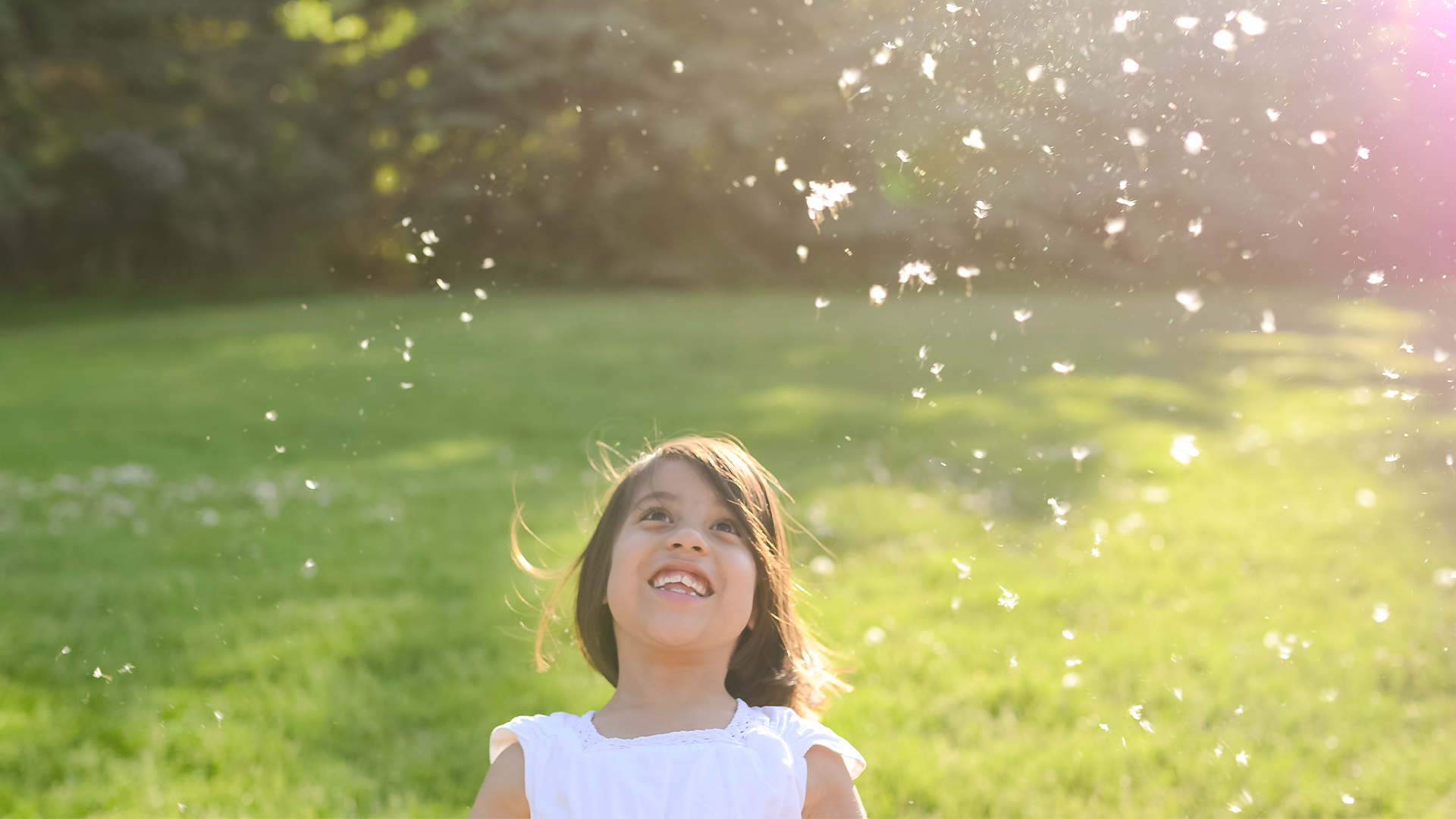 Angels Encamp Seeking Him Episode Revive Our Hearts