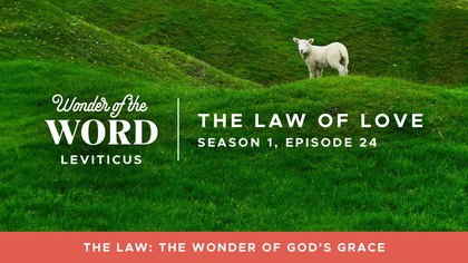 The Law of Love