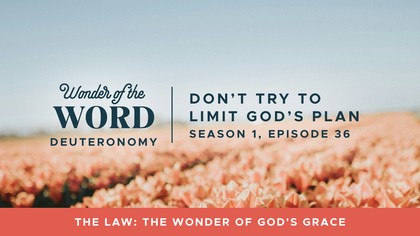 Don't Try to Limit God's Plan