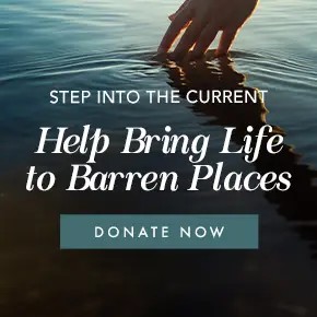 Where the River Flows Is Life
