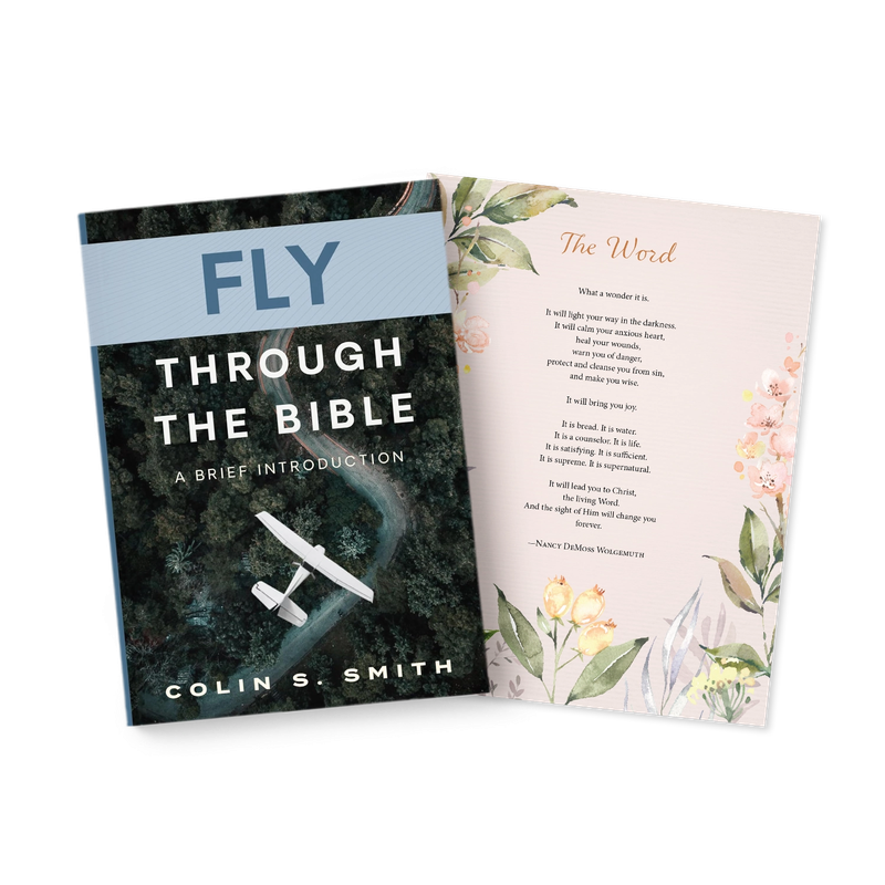 Fly Through the Bible and