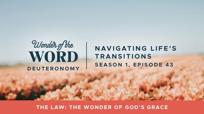 Navigating Life's Transitions