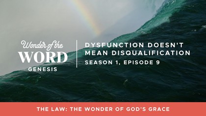 Dysfunction Doesn't Mean Disqualification