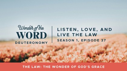 Listen, Love, and Live the Law