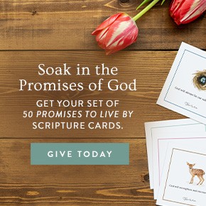 Soak in the Promises of God