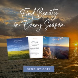 Finding Beauty in Every Season