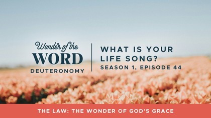 What Is Your Life Song?