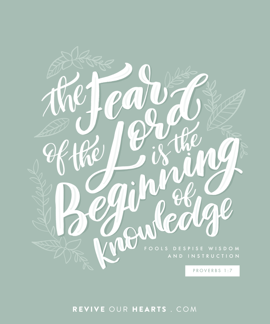 Abigail - Week 1: A King, a Fool, and a Wise Woman | Abigail: Living ...