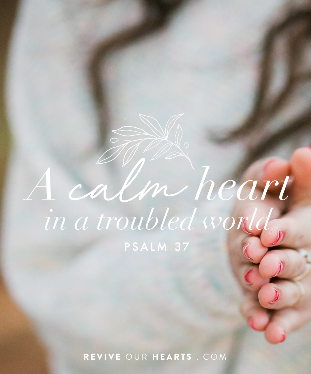 Filling Your Mind with God’s Word  Revive Our Hearts Episode – The