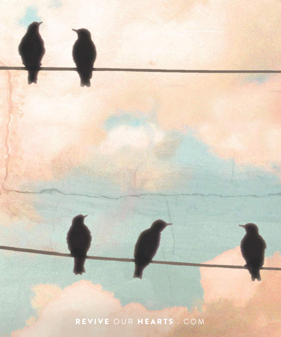 Thumbnail of Connected